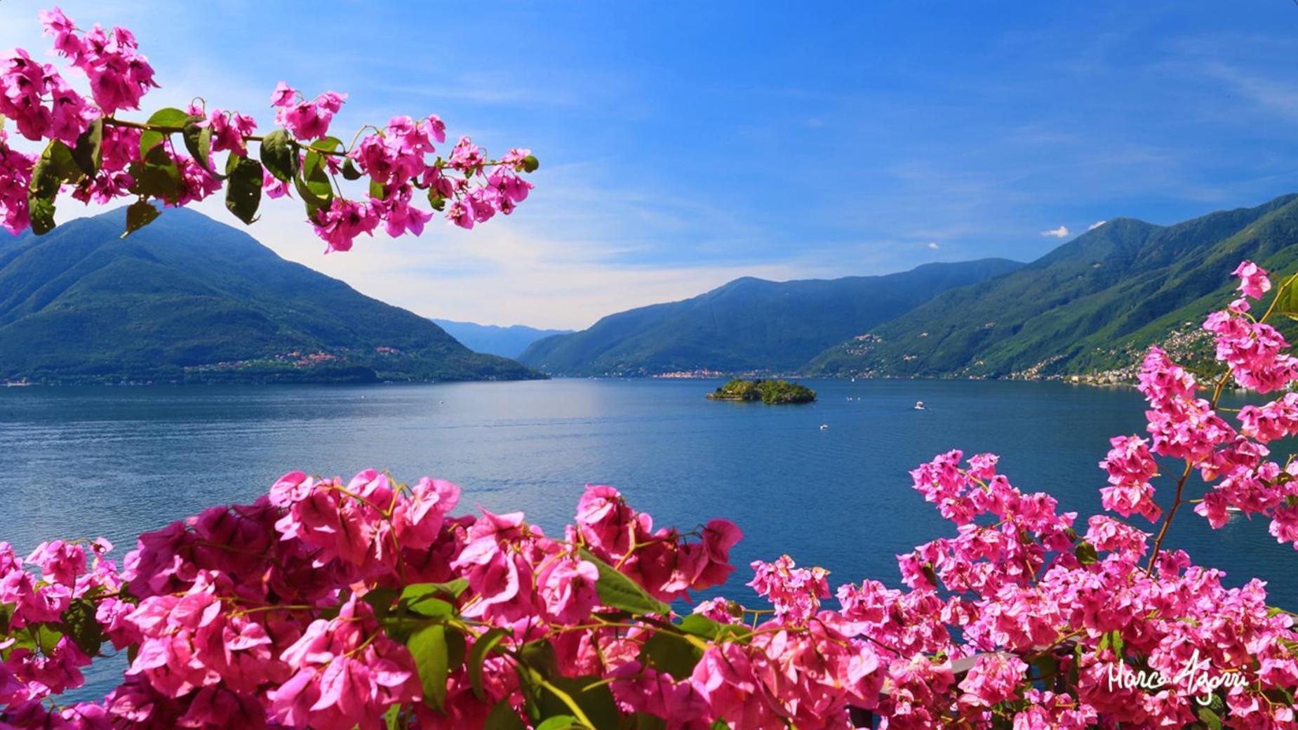 Charme Hotel Al Torchio Ascona Kültér fotó